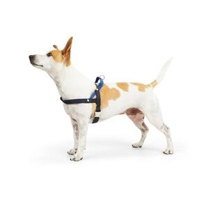 Youly Blue Adjustable Dog Harness (The Trailblazer)